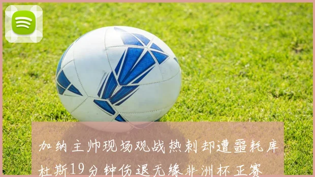 加纳主帅现场观战热刺却遭噩耗库杜斯19分钟伤退无缘非洲杯正赛