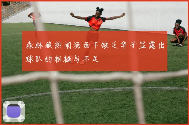 森林狼热闹场面下缺乏华子显露出球队的粗糙与不足