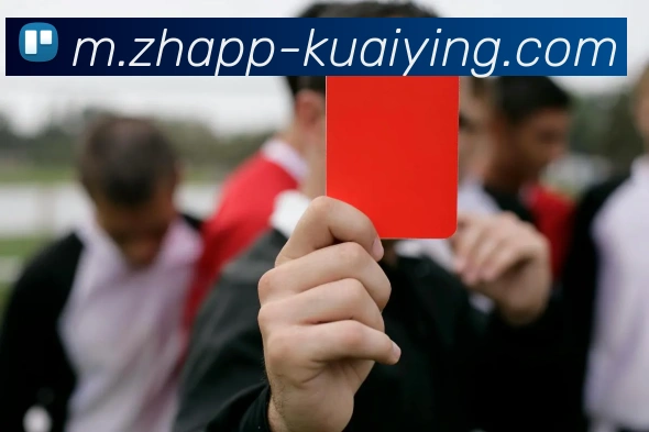 App 展示图